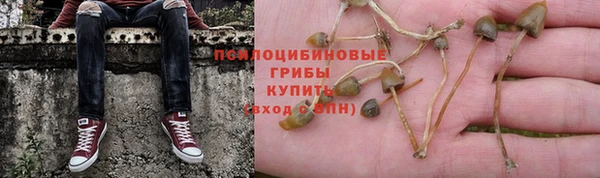 гидра Армянск