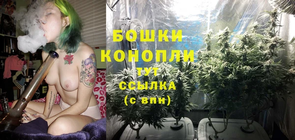 гидра Армянск