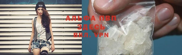 мяу мяу мука Аркадак