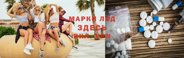 мяу мяу мука Аркадак