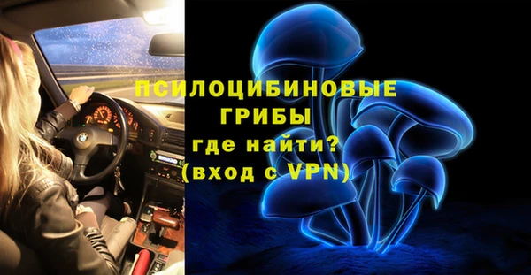 спиды Арсеньев
